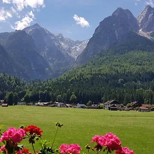 Waldrebe , Grainau Deutschland